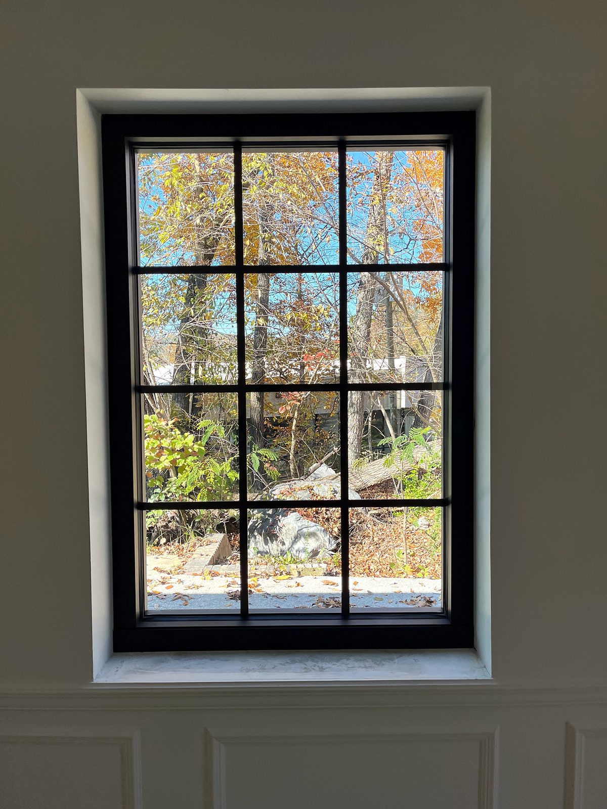 Black-framed commercial window with a grid pattern and a fall foliage view in Pelham, AL